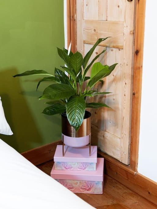 Cosy Cottage In Central Reading Free Parking & Fast Wifi エクステリア 写真