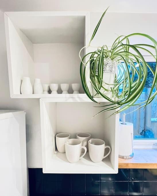 Cosy Cottage In Central Reading Free Parking & Fast Wifi エクステリア 写真